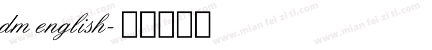 dm english字体转换
